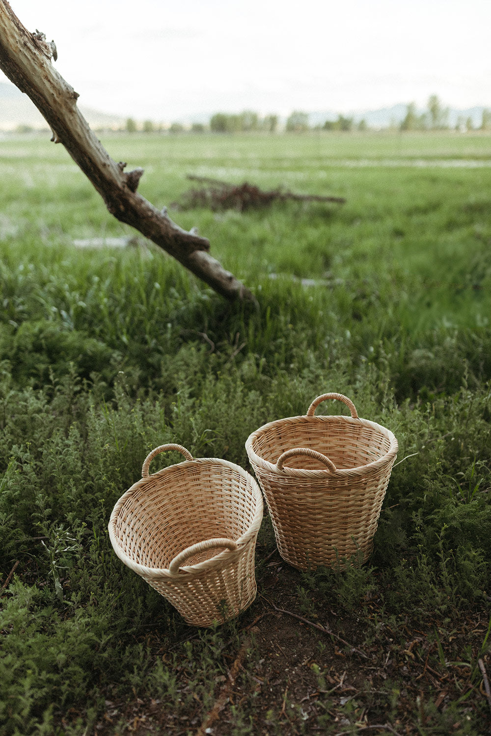 Handwoven Round Floor Basket - Image 5